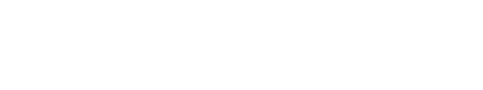 BlueSkyPlan logo